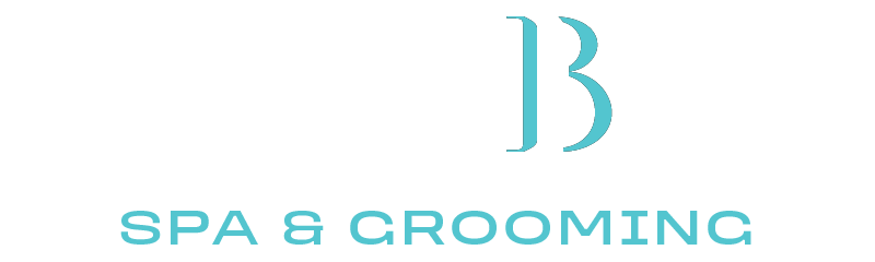 Hamambath Spa